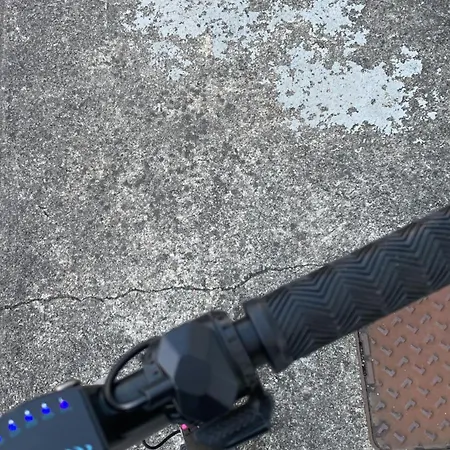 Darfpau * Pau